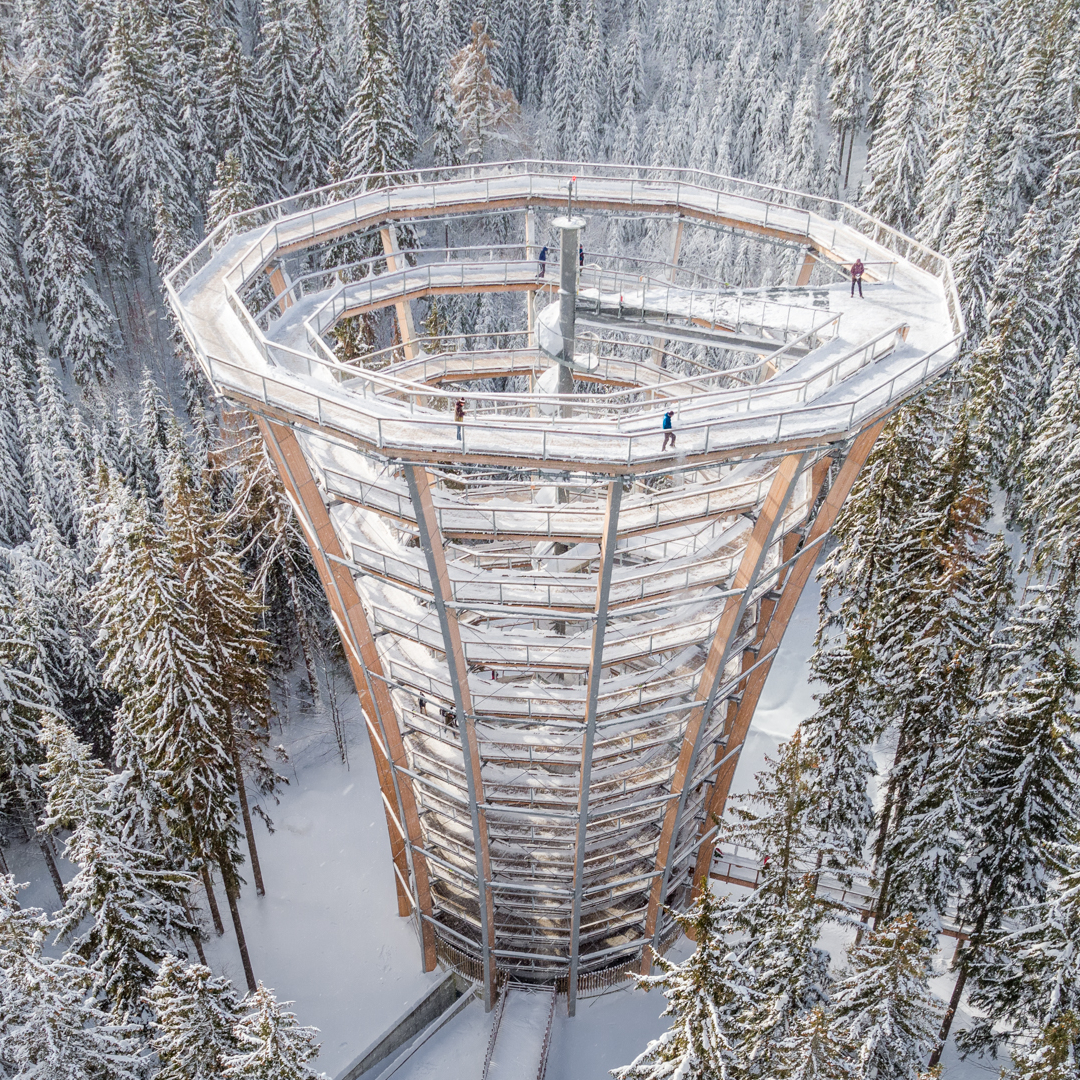 Stezka korunami stromů