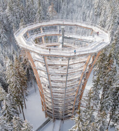 Stezka korunami stromů