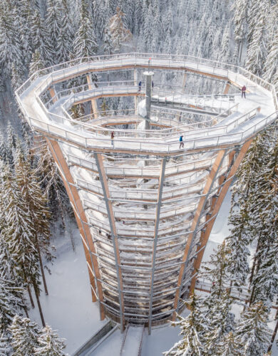 Stezka korunami stromů