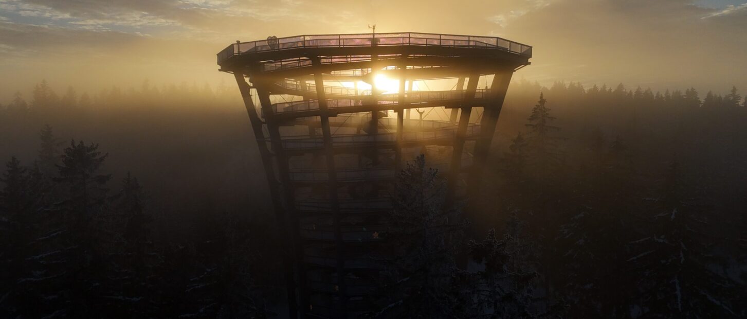 Stezka korunami stromů Krkonoše